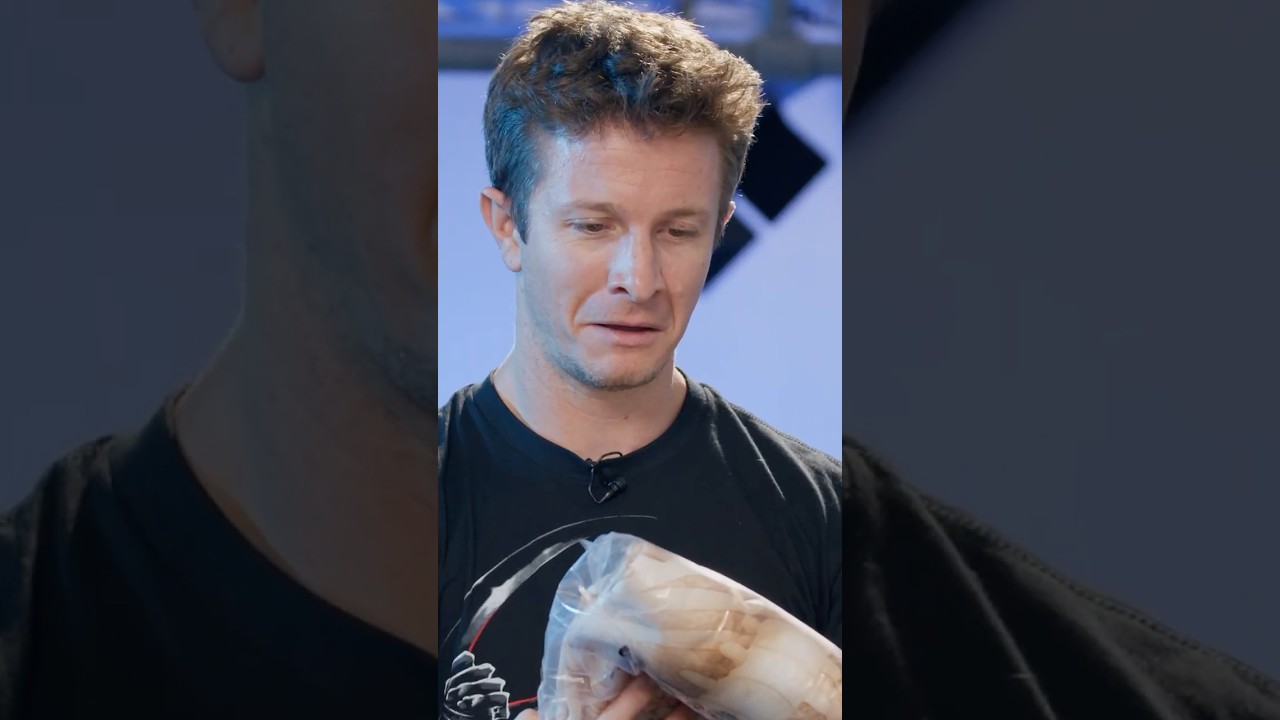 We Got SCAMMED By Ai