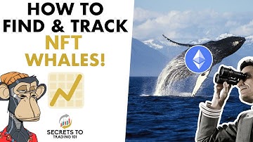 How to Find & Track NFT Whale Wallets | 101 guide to NFT Whale Watching
