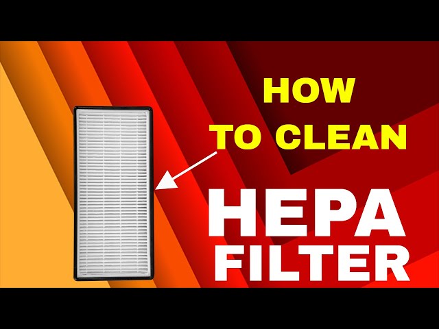 HEPA FILTER HOW TO CLEAN FILTER OF VACCUM CLEANER / AIR PURIFER DIY -  YouTube