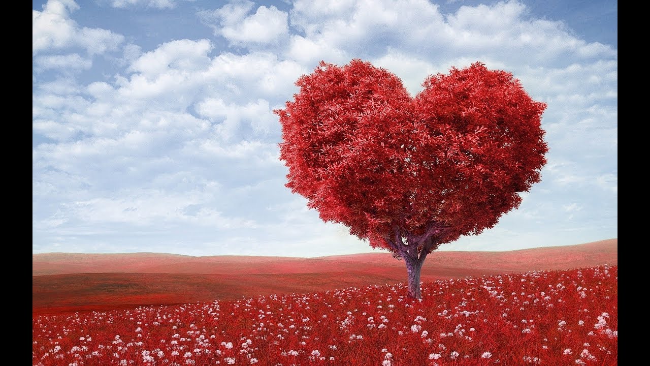 5 Steps to a Healthier Heart