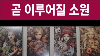 6개월안에 이루어질 소원 #tarot #타로 #재물운 #연애운 #이사운  #사업운 #학업운 #금전운 #a wish that will come true in six months