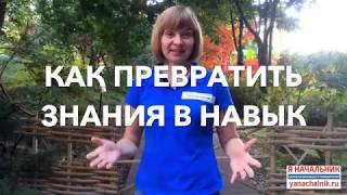 Знания, умения, навыки руководителя Знания, умения, навыки руководителя