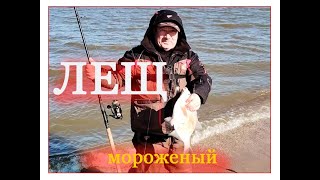 Лещ на куршском заливе в мартовском морозе