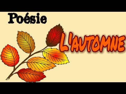 Vidéo: Les feuilles d'automne sont les hérauts dorés de l'automne