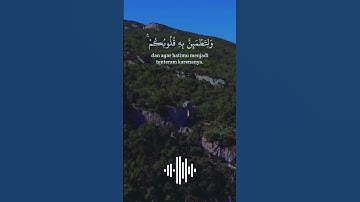 قران كريم تلاوة هادئة ارح سمعك #quran #المصحف #اكسبلور #اسلاميات #الرحمن #duet #راحة_نفسية