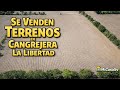 🌱 Terreno con AGUA y cultivo TODO el año 😍 | La Libertad/Cangrejera