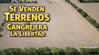 🌱 Terreno con AGUA y cultivo TODO el año 😍 | La Libertad/Cangrejera 