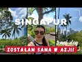 Singapur vlog odkrywam miasto sama  fort canning park i azjatyckie zakupy