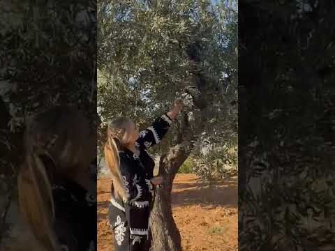 أمي جنة امي ماما اكسبلور لايك اشتراك 