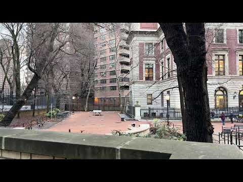 Live NYC Walking Commute: Southbound on Friday - Jan 20, 2023