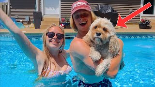 Teaching My Dog How To Swim
