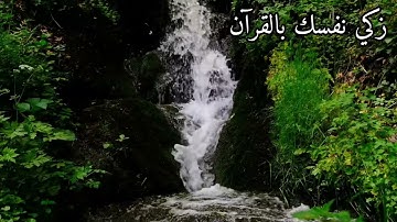 اقرأ وارتق في سماوات القرآن سورة النازعات القارئ عمر هشام العربي💚