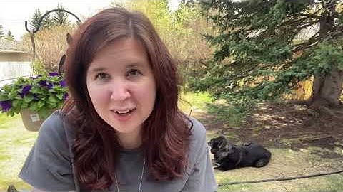 RDPL Teen SRC: Wrap-up!