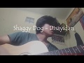 Shaggy Dog - Disayidan