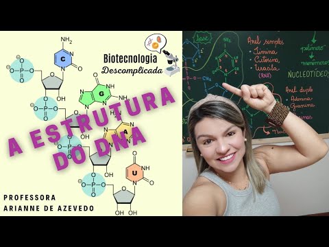 Vídeo: Como são chamados os monômeros do DNA?