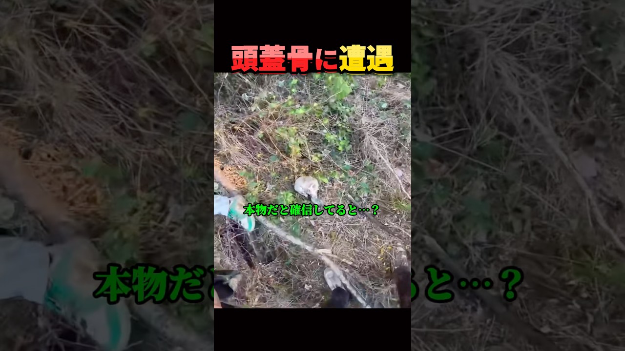 本当にあった話。