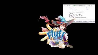 PlayPark Flyff Dupe Hack