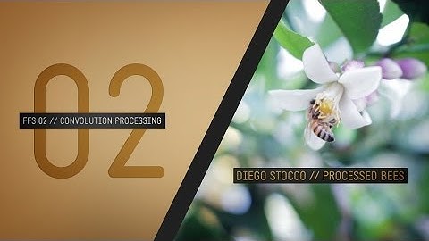 FFS02 // Diego Stocco // Processed Bees