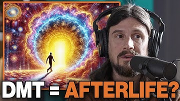 Visiting the Afterlife: New Data Shows DMT is the "Death Realm" | Zoltan Bathory & Danny Goler