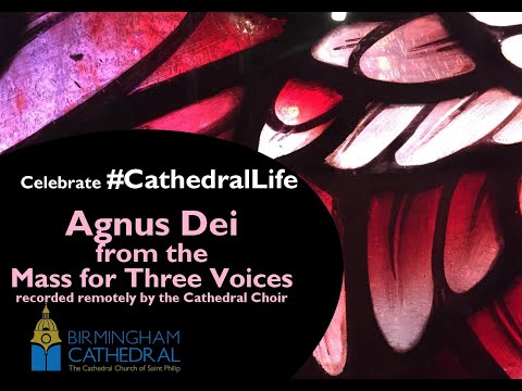 Agnus Dei recorded remotely by the Birmingham Cathedral Choir