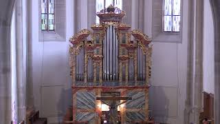 Gottesdienst Am 13. Sonntag Nach Trinitatis, 25.08.2024