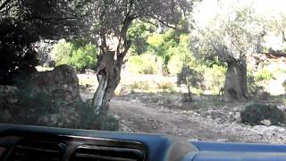 Jeep Safari Mallorca