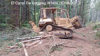 cat dozer logging in oregon