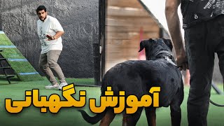 آموزش سگ نگهبان  واق زدن به غریبه ها