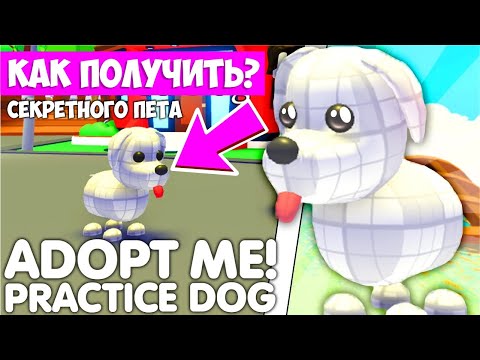 ?КАК ПОЛУЧИТЬ НОВОГО СЕКРЕТНОГО ПЕТА Practikal dog!?НОВОЕ ОБНОВЛЕНИЕ! #adoptme #news