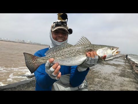 Fat Speckled Trout On The Slip Cork, Surfside Jetty TX