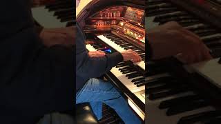 Lawery "Stardust" Organ for Sale - Las Vegas Estate Sale