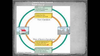 APES Ch 3 C.mov