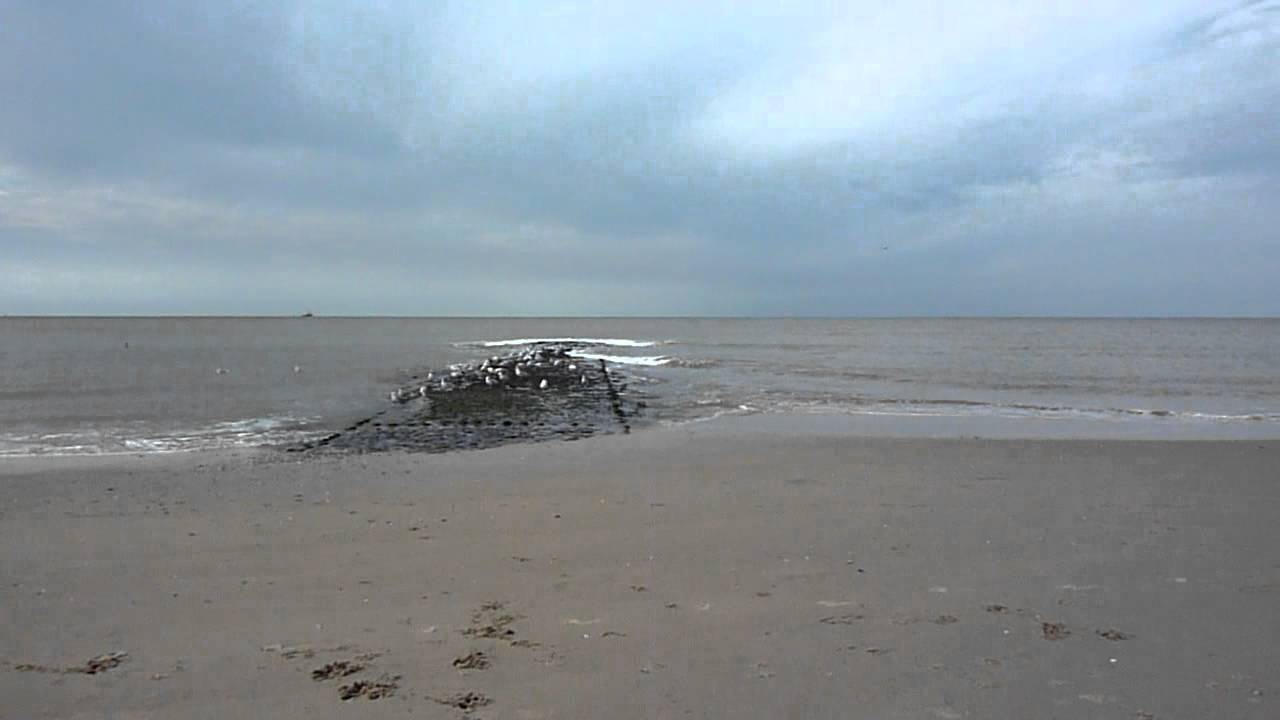Flitsen in het oog - Y...