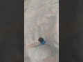 Los gustos de mi hermano [jugar con legos] no lo critiquen por eso se les agradece❤️‍🔥