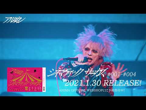 ΛrlequiΩ 2021.1.30 DVD RELEASE「シネマティックサーカス#001～#004