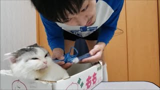 なわとびダンス