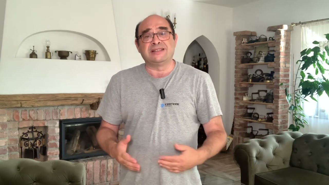 Soluția Botoșani. De ce aș interzice “Deșteaptă-te, române!”