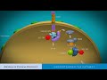 Targeting inhibitor of apoptosis proteins for cancer therapy a doubleedge sword