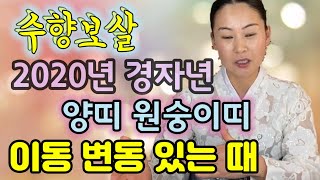 수향아씨《2020년.경자년운세》양띠운세.원숭이띠운세《광천점집.홍성점집》