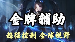 【艾希Ashe】金牌辅助,寒冰射手艾希,超强控制全球视野 #LOL#英雄聯盟#檸檬仔