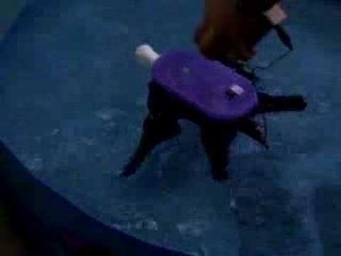 turborg/turtletron