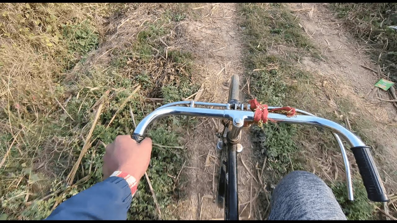 Bicycle Se Jungle Chale Gaye 