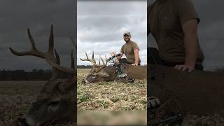 GROUND ATTACK!! Arrow hit HARD! #bowhunting #shorts