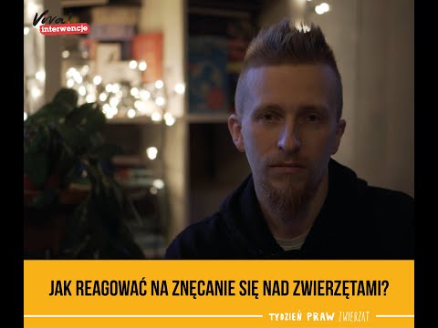 Jak reagować na znęcanie się nad zwierzęciem? | Tydzień Praw Zwierząt