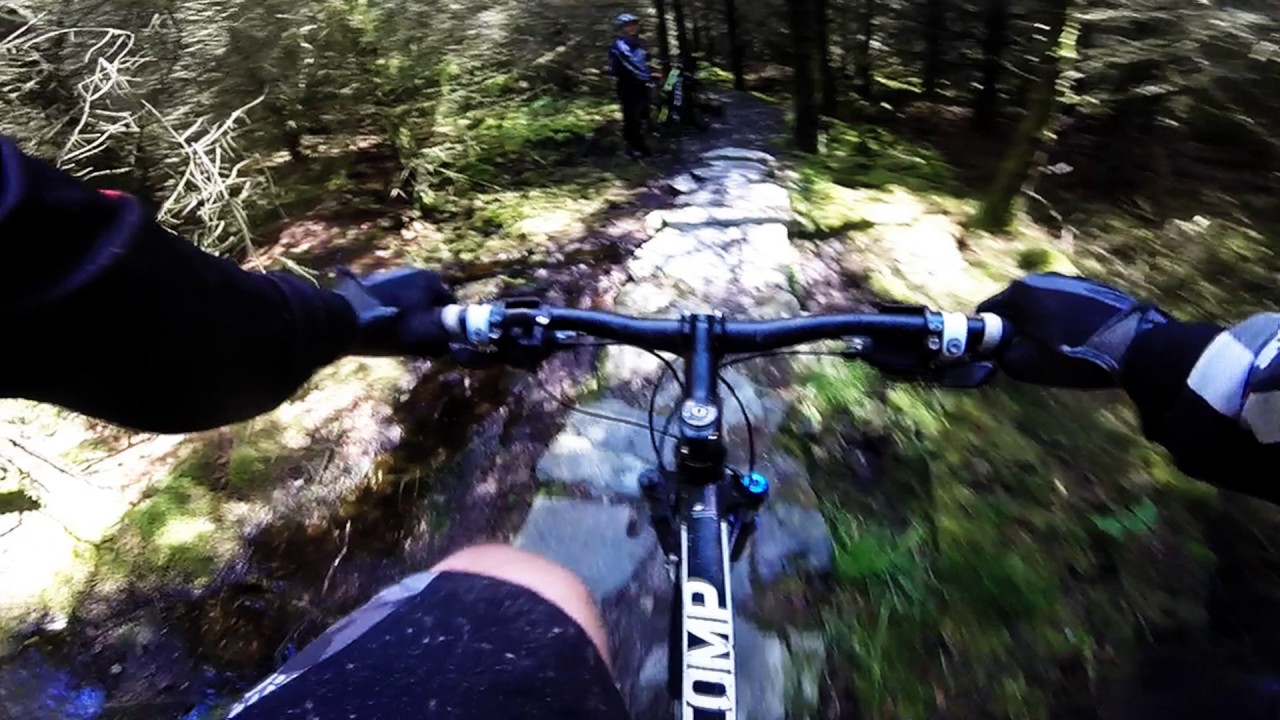 bmx cycle tyre price