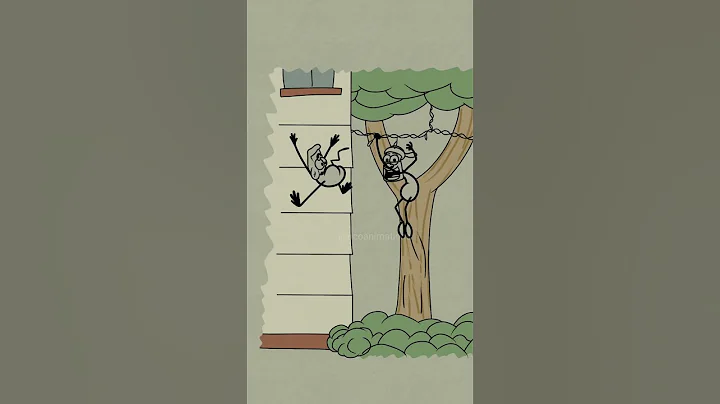 Me and my monkey!🤣🤣(4k memes) click on the blue button up to join membership