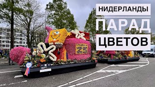 Парад цветов в Нидерландах | Чем заняться в Голландии
