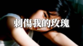 一隻白羊 - 刺傷我的玫瑰『你是我用心呵護反手刺傷我的玫瑰，卻讓他肆意摘取放手中枯萎，我嘆那玫瑰盛開在花期是多麼珍貴，她卻說珍不珍貴反正你不配。』【動態歌詞MV】