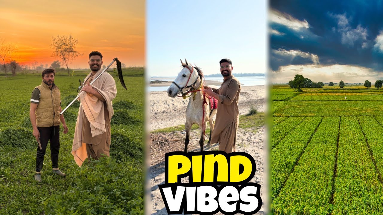 pind di swayr te mehfil