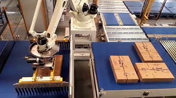 паллетайзер Duecker Robotics Type V pinwheel